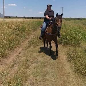 Meet your Posher, Haley